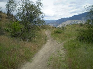 Took the left fork heading north, Oliver Mtn East Trail 2012-06.